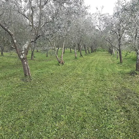 Casa Magrini * בורגו א בוג'יאנו