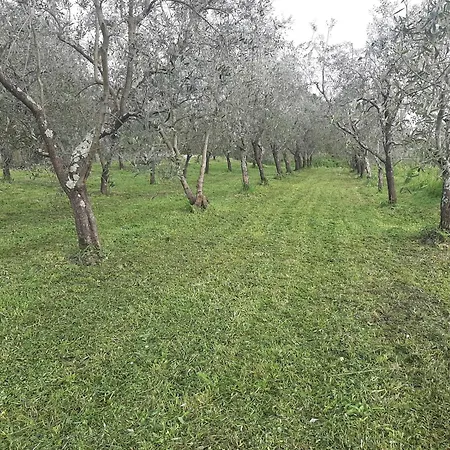 Casa Magrini * Borgo a Buggiano